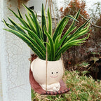 Face Swing Hanging Hammock Planter