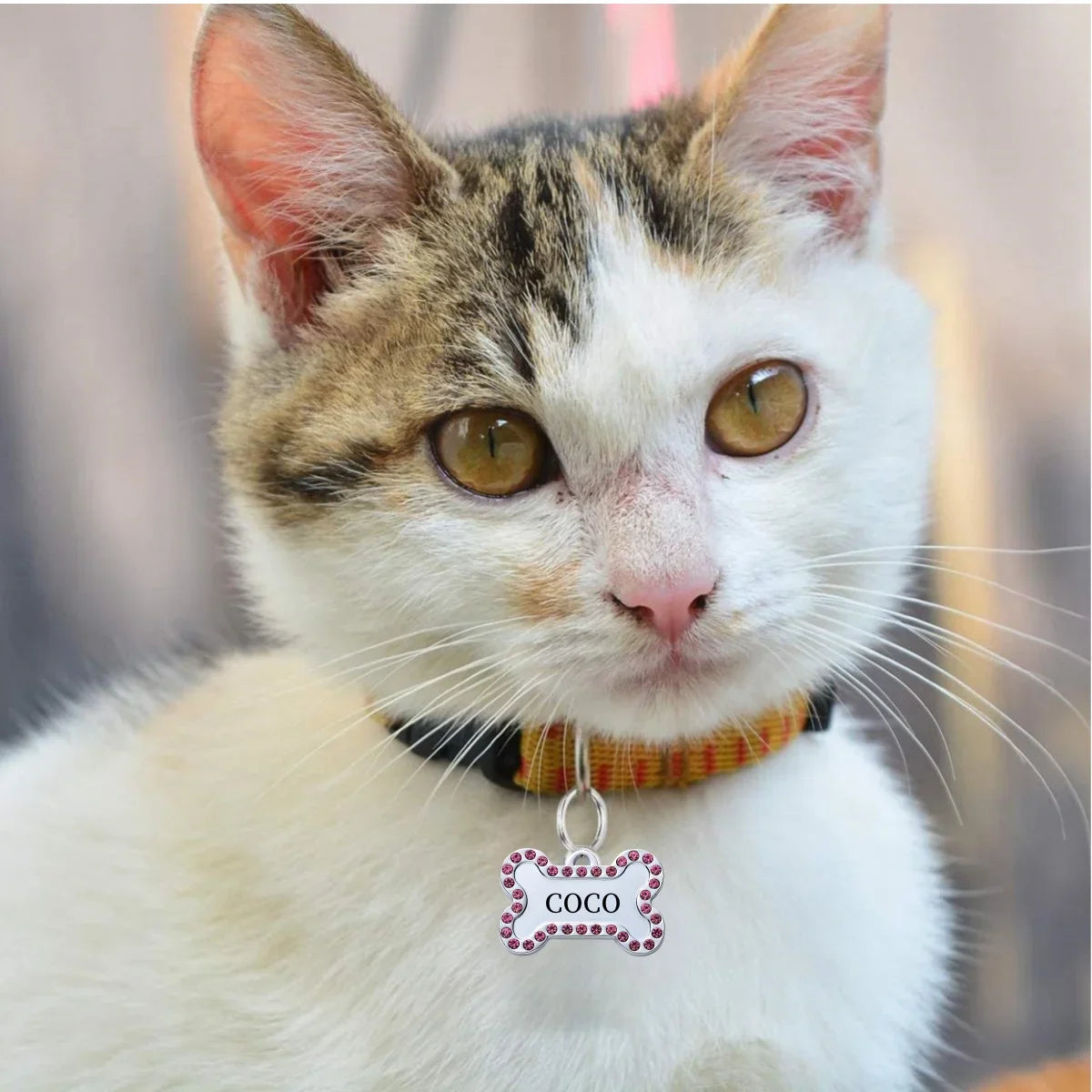 Custom Engraved Pet ID Tag