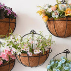 Coconut Coir Lined Hanging Plant Baskets