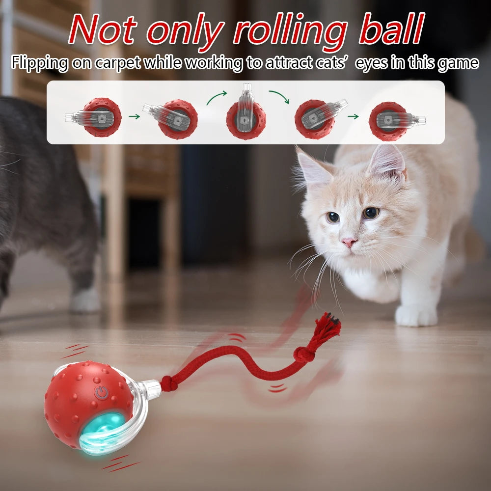 Motion-Activated Chirping Cat Ball