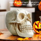 Decorative Skull Planter for Succulents