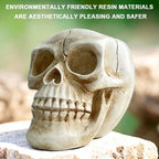 Decorative Skull Planter for Succulents
