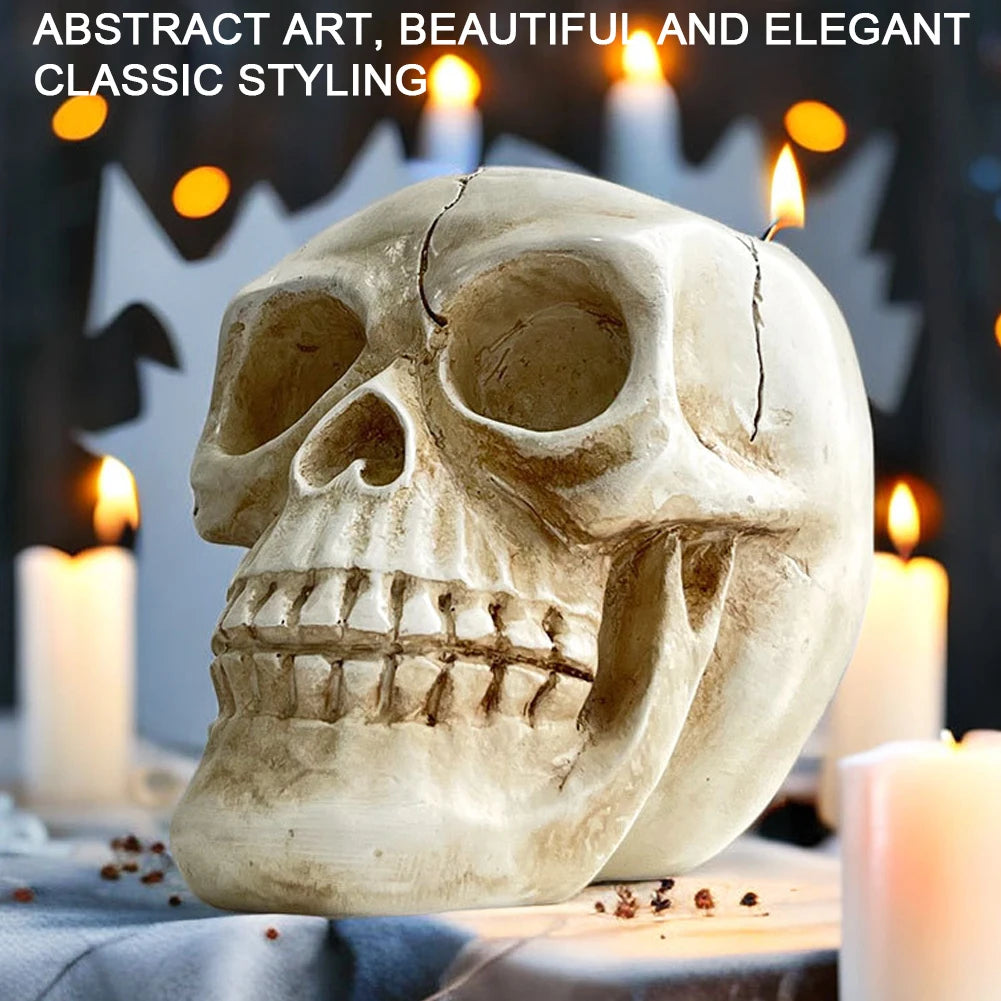 Decorative Skull Planter for Succulents