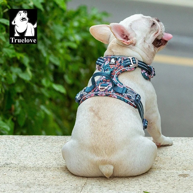 Padded Reflective Step-In Dog Harness