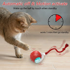 Motion-Activated Chirping Cat Ball