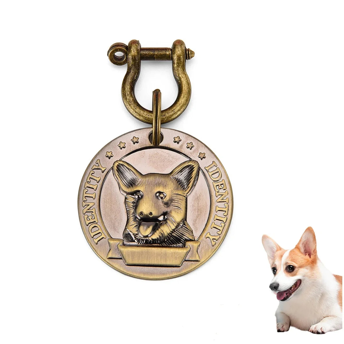 Custom Engraved Pet ID Tag