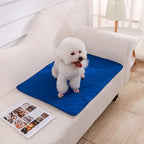 Reusable Washable Puppy Training Pad