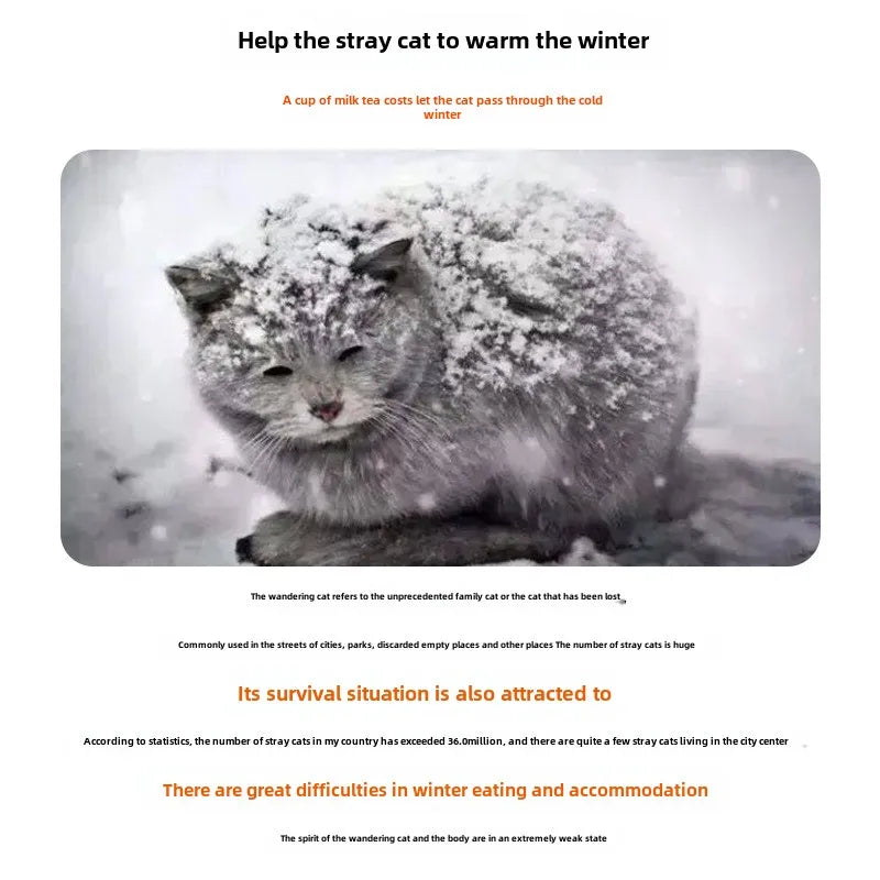 Outdoor Waterproof Insulated Pet House