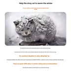 Outdoor Waterproof Insulated Pet House