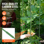 Sturdy 6-Pack Tomato Plant Supports