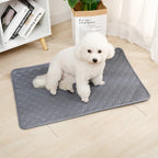 Reusable Washable Puppy Training Pad