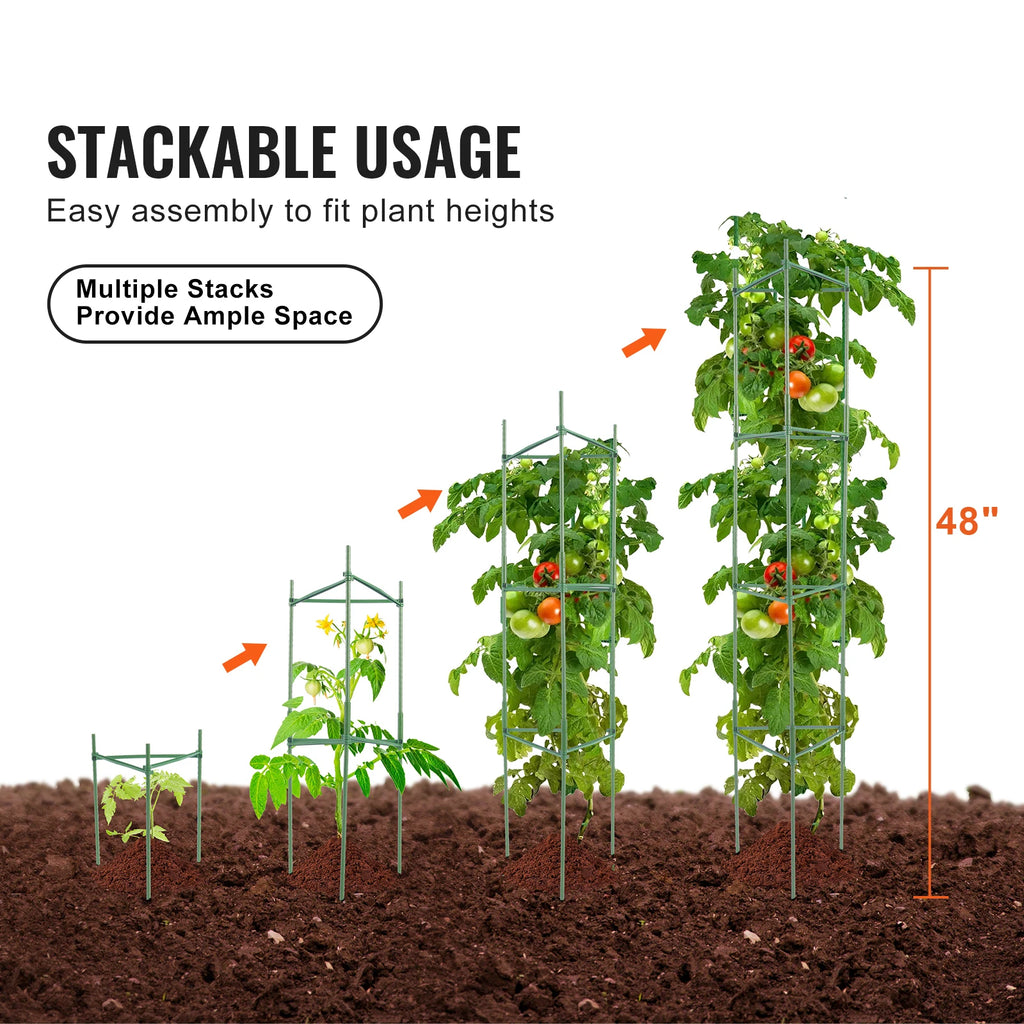 Sturdy 6-Pack Tomato Plant Supports