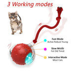 Motion-Activated Chirping Cat Ball