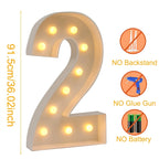 LED Light-Up Giant Number Frame