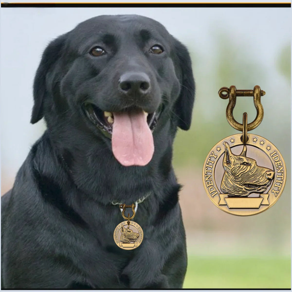 Custom Engraved Pet ID Tag
