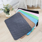 Reusable Washable Puppy Training Pad
