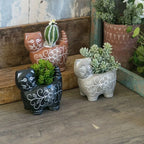 Cement Cat Sculpture Succulent Planter