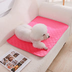 Reusable Washable Puppy Training Pad