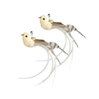 Feather Wand Cat Teaser Toy