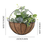 Coconut Coir Lined Hanging Plant Baskets