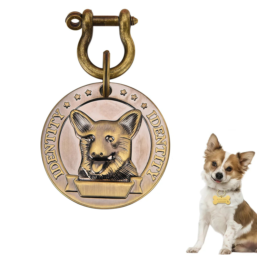 Custom Engraved Pet ID Tag