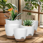 5-Pack Plastic Plant Pots Set