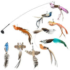 Feather Wand Cat Teaser Toy