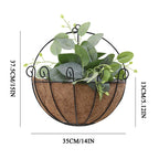 Coconut Coir Lined Hanging Plant Baskets