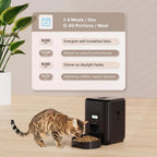Programmable Automatic Pet Food Dispenser