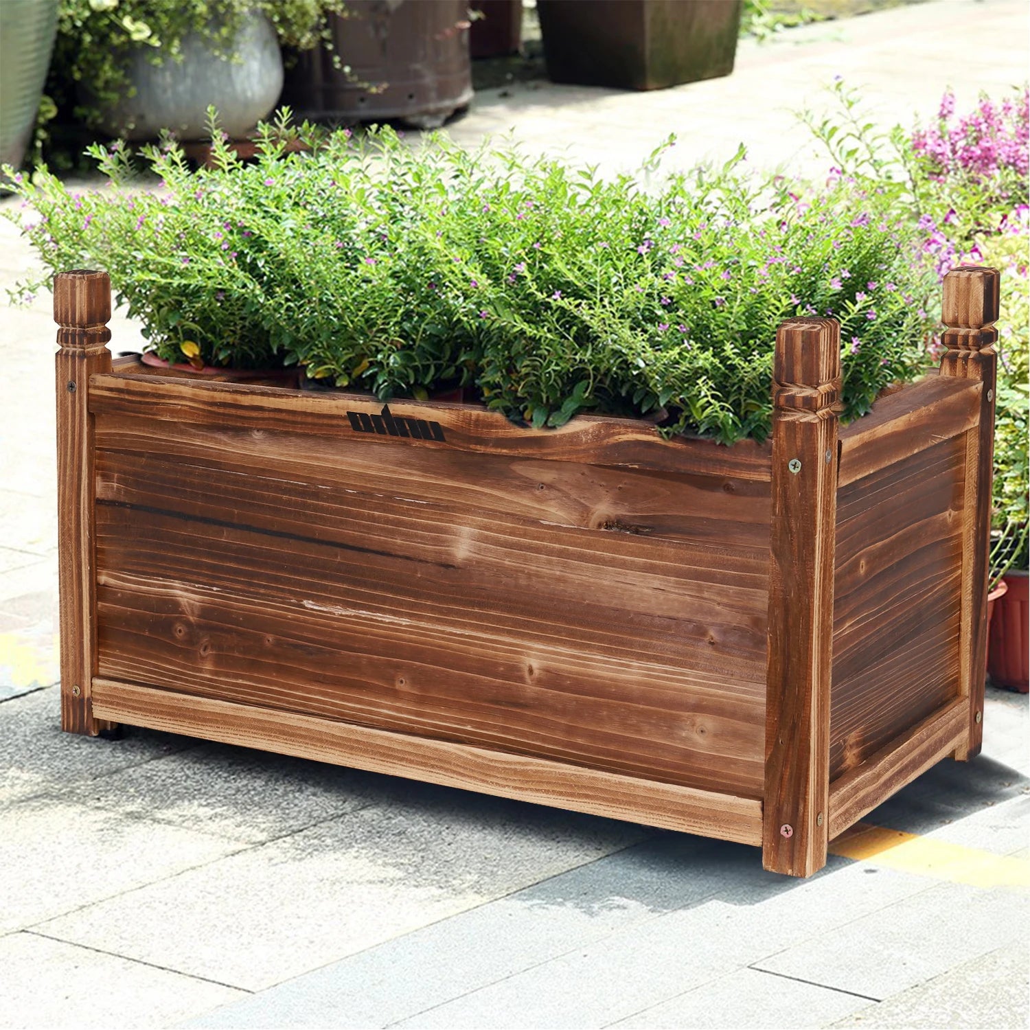 Solid Pine Wood Raised Planter Box