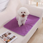 Reusable Washable Puppy Training Pad