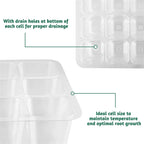 12-Cell Plant Propagators with Lids
