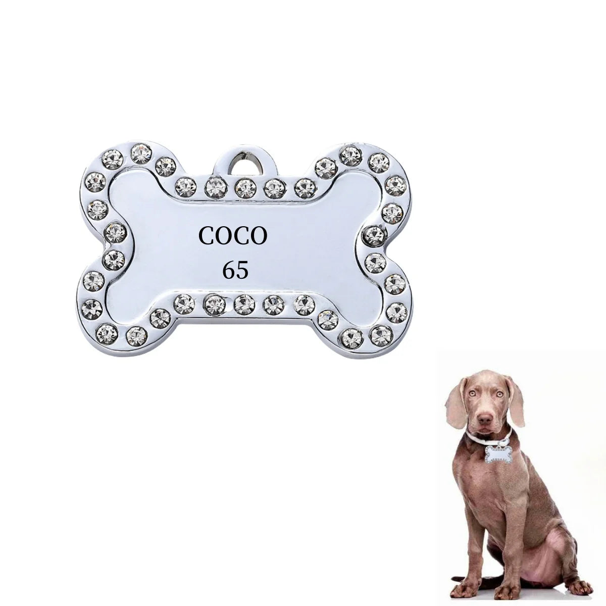 Custom Engraved Pet ID Tag