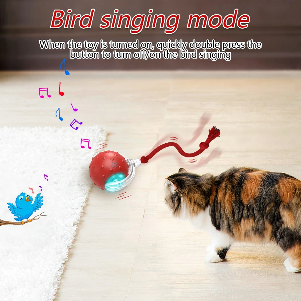 Motion-Activated Chirping Cat Ball