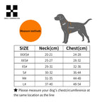 Reflective Adjustable Dog Harness Set