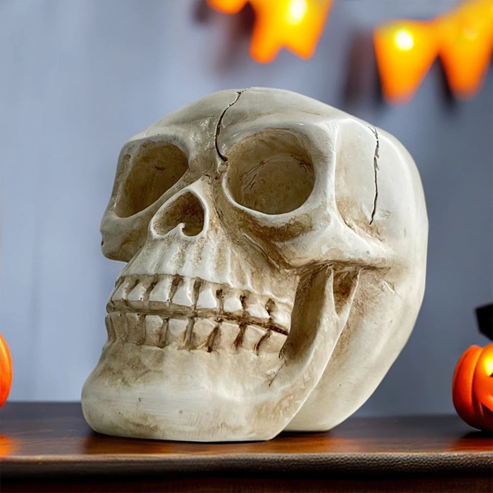 Decorative Skull Planter for Succulents