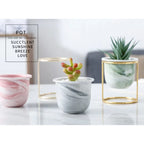 Sculptural Ceramic Face Planter with Stand